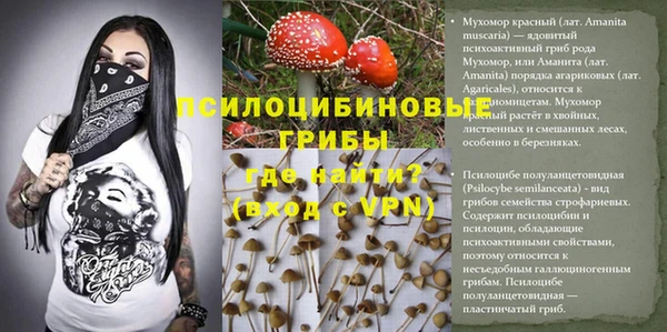 кокаин премиум Алзамай