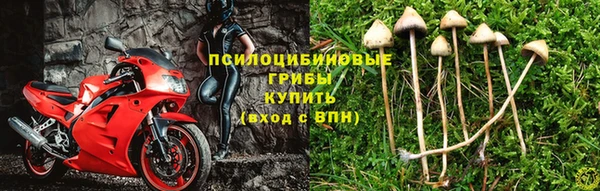 кокаин премиум Алзамай
